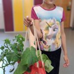 Foto – 2023 Schulgarten &#8211; Grundschule an der Weinau