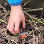 Bildmaterial – 2023 Schulgarten &#8211; Grundschule an der Weinau