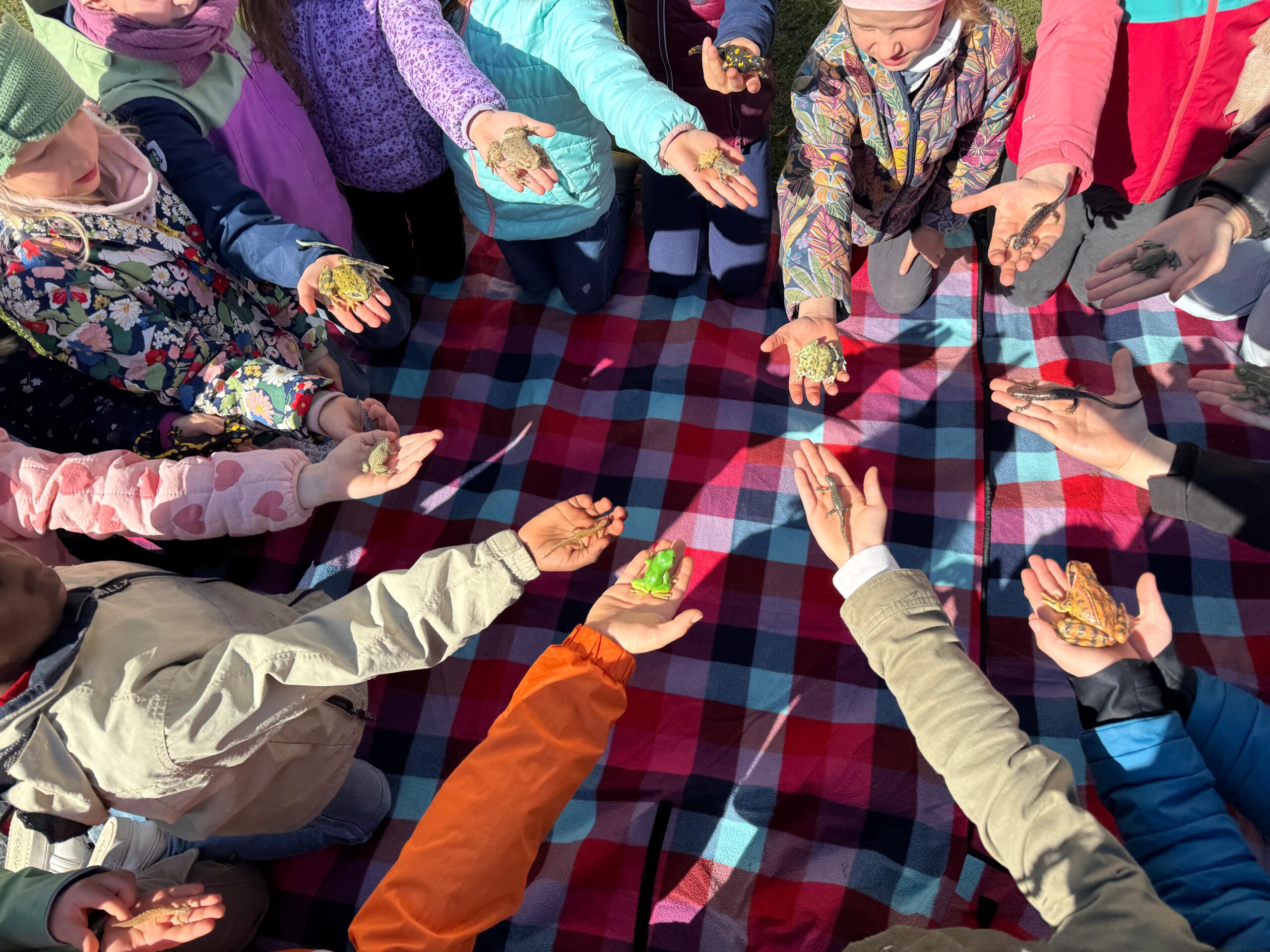 Bildmaterial &ndash; Nachhaltig lernen und entdecken – Grundschule an der Weinau