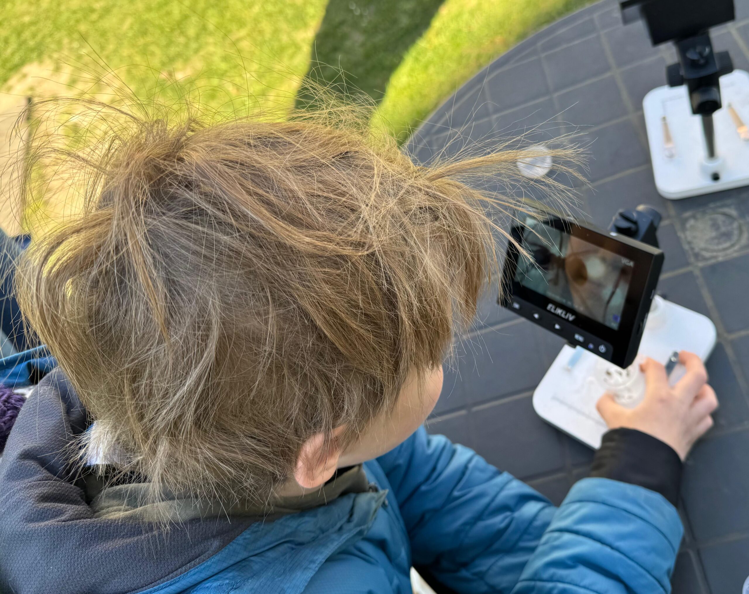 Design-Element &ndash; Nachhaltig lernen und entdecken – Grundschule an der Weinau