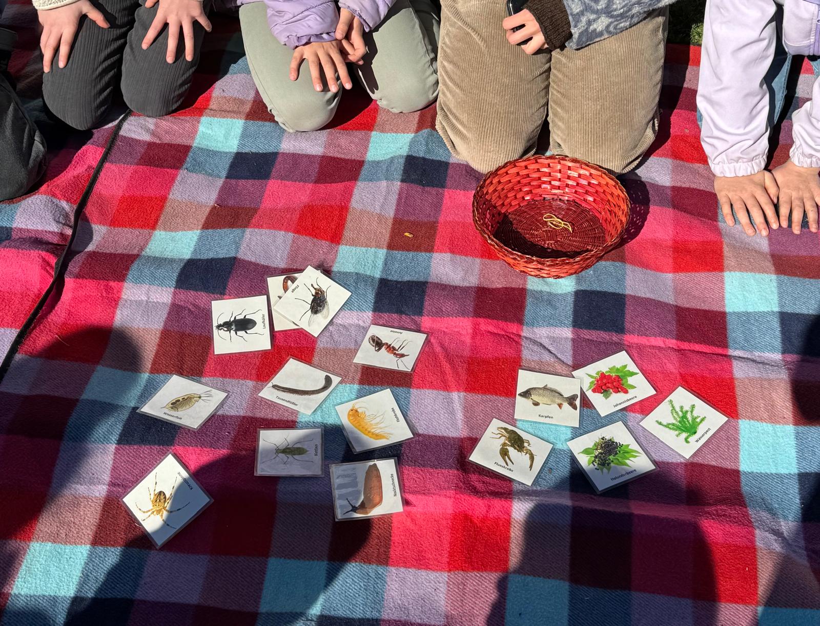 Illustration &ndash; Nachhaltig lernen und entdecken – Grundschule an der Weinau