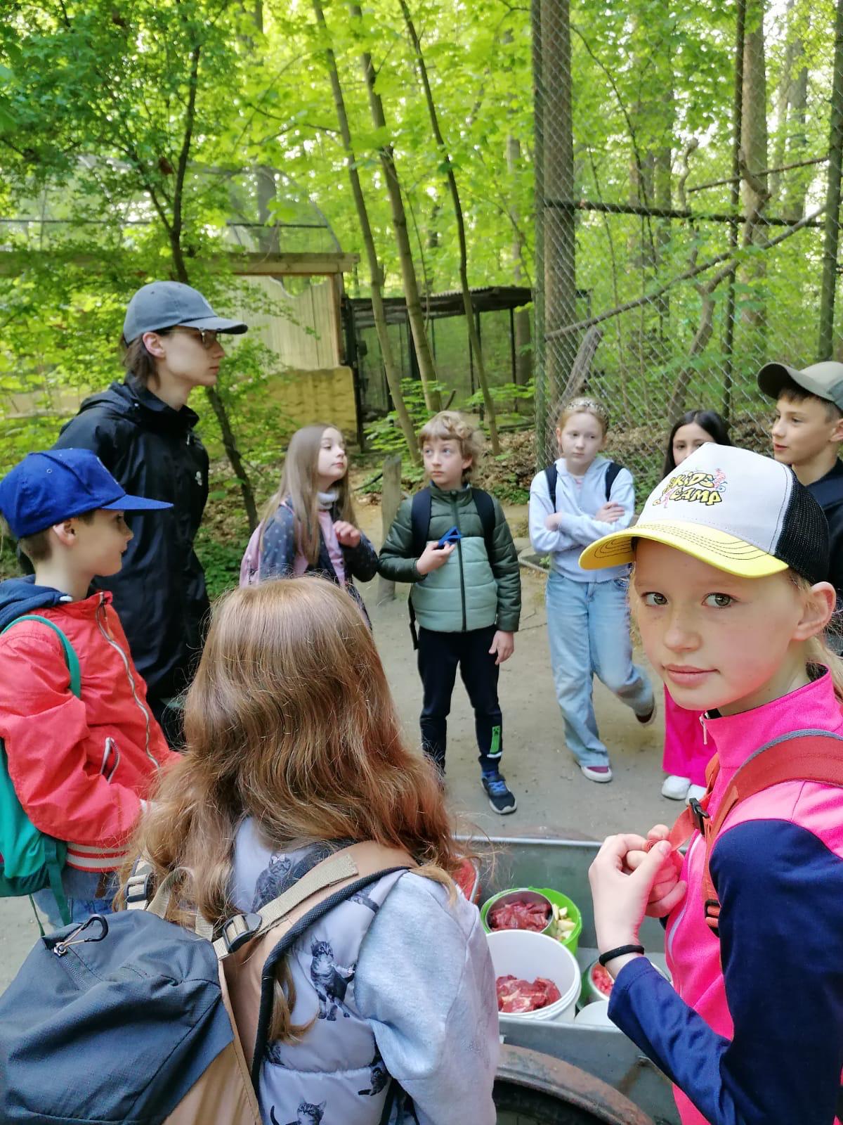 Visual &ndash; Die Klasse 3B entdeckt die Welt der Waldtiere – Grundschule an der Weinau