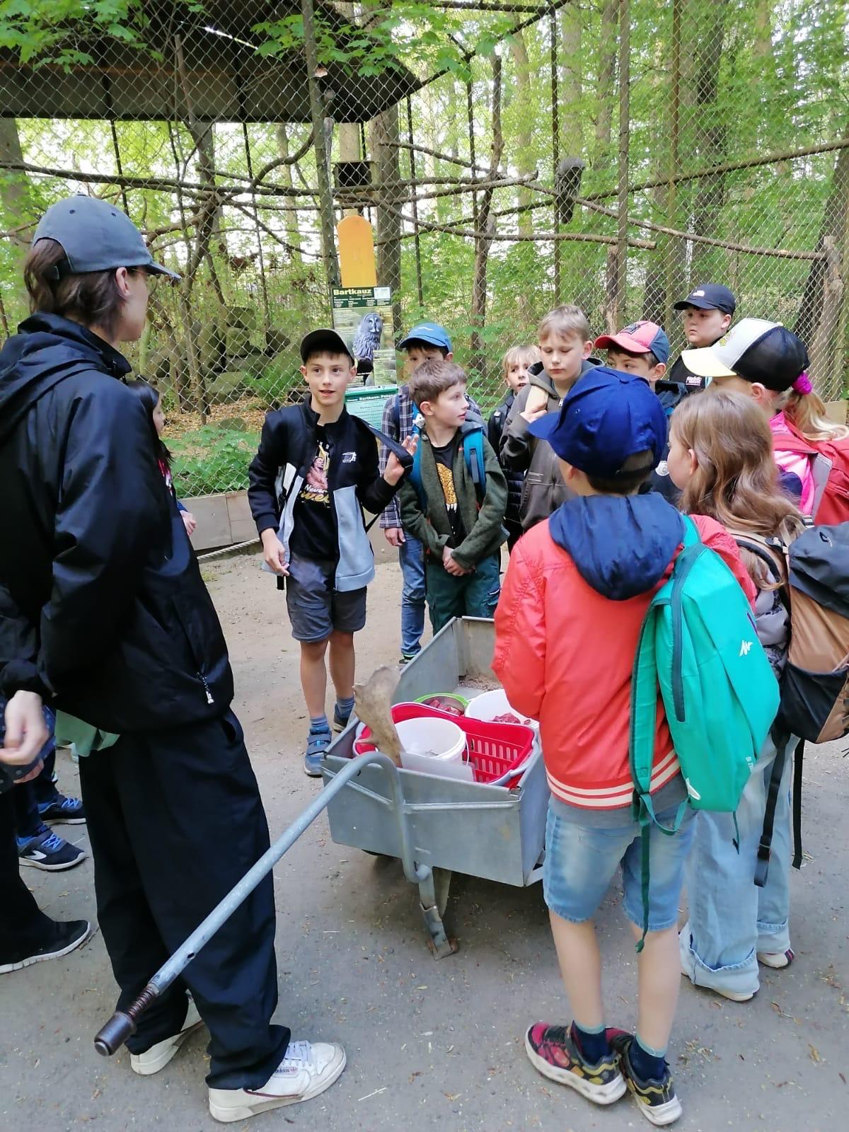 Pressefoto &ndash; Die Klasse 3B entdeckt die Welt der Waldtiere – Grundschule an der Weinau