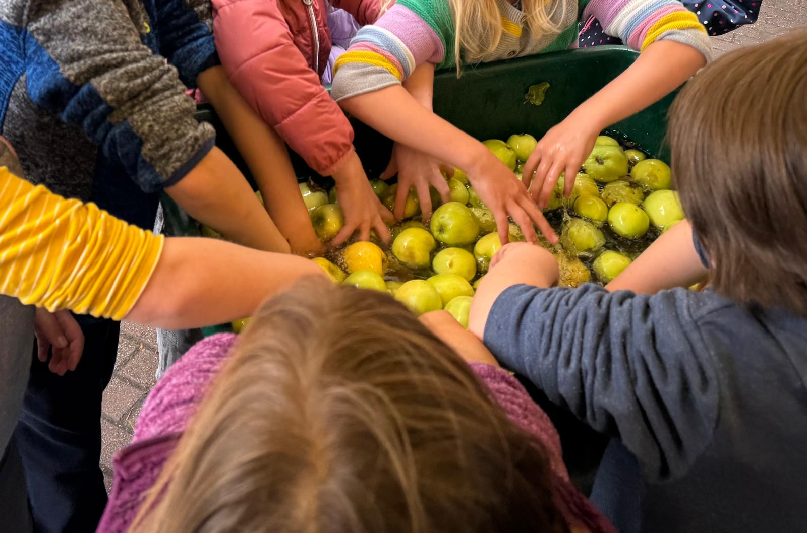 Foto – Apfelsaftpresse auf dem Schulhof – Grundschule an der Weinau